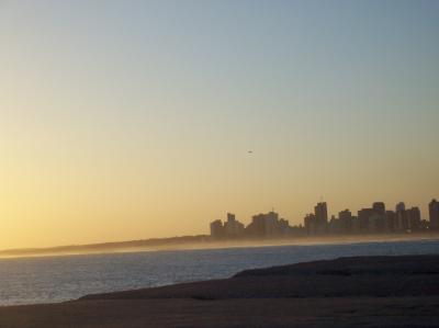 20090214055310-100-8957.jpg