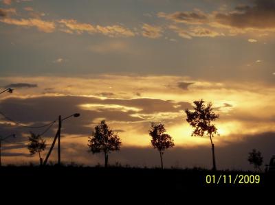 20110204164601-100-0362.jpg