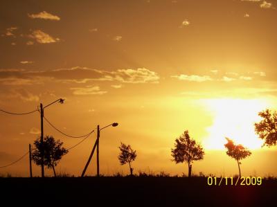 20110204164857-100-0358.jpg